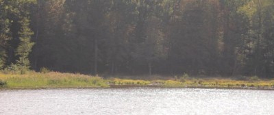 etang-12.jpg