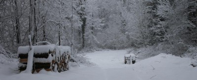 neige-13.jpg