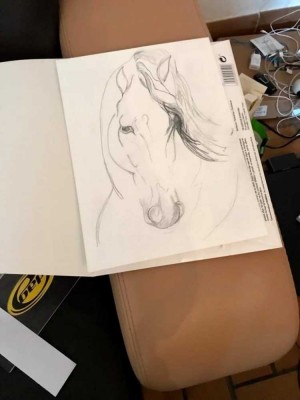 received_753681455245462.jpeg (32.33 Kio) Vu 28705 fois Mes premiers dessins seule