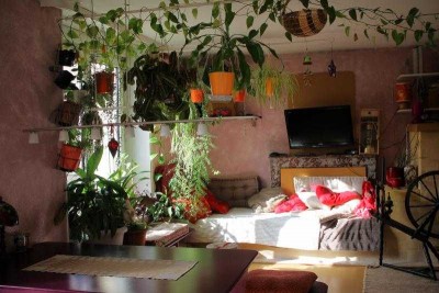 jungle-2021.jpg (56.7 Kio) Vu 23150 fois Jungle dans le salon