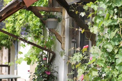 porte-jardin-2021.jpg (74.71 Kio) Vu 27445 fois La porte qui donne sur le jardin