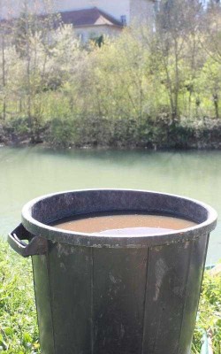 Sagittaire-17-04-22.jpg (39.63 Kio) Vu 77172 fois Le 28 avril